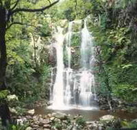 Budderoo National Park - The Falls Walk - Restaurant Gold Coast
