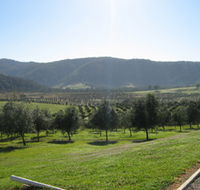Hastings Valley Olives - Restaurant Gold Coast