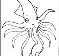 Squid Studio - Restaurant Gold Coast