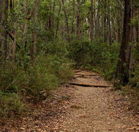 Pigeon House Mountain Didthul walking track - Restaurant Gold Coast