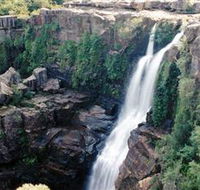 Minnamurra Rainforest Centre Budderoo National Park - Restaurant Gold Coast
