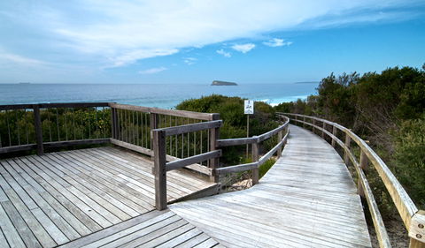 Tea Tree Picnic Area And Lookout - Restaurant Gold Coast 0