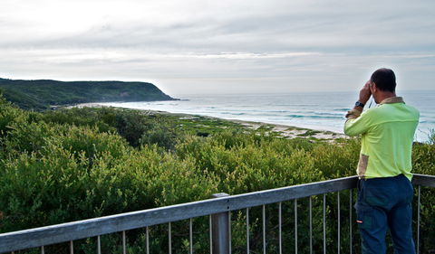 Tea Tree Picnic Area And Lookout - Restaurant Gold Coast 2