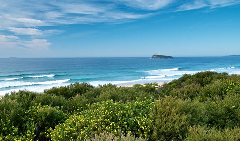 Tea Tree Picnic Area And Lookout - Restaurant Gold Coast 3