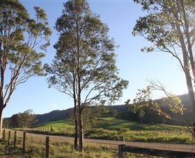 Tourist Drive 2 - Bucketts Way - Restaurant Gold Coast 1