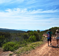 Moonee Beach trail - Restaurant Gold Coast