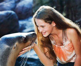 Sea Life Sunshine Coast - Restaurant Gold Coast 1