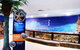 Sea Life Sunshine Coast - thumb 2
