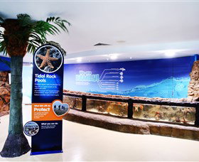 Sea Life Sunshine Coast - Restaurant Gold Coast 2