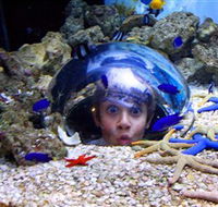 Sea Life Sunshine Coast - Restaurant Gold Coast