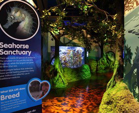 Sea Life Sunshine Coast - Restaurant Gold Coast 3
