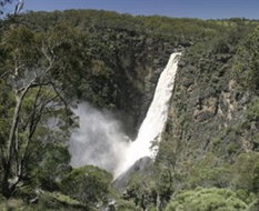 Book Dorrigo NSW Attractions Restaurant Gold Coast Restaurant Gold Coast
