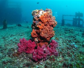 HMAS Brisbane Dive Site - Restaurant Gold Coast 0