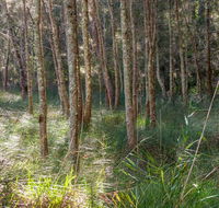 Anabranch loop track - Restaurant Gold Coast