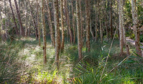 Anabranch Loop Track - Restaurant Gold Coast 0