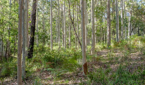 Anabranch Loop Track - Restaurant Gold Coast 2