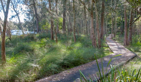 Anabranch Loop Track - Restaurant Gold Coast 3