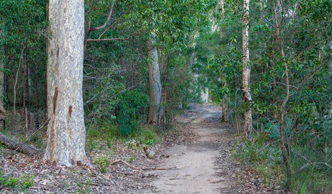 Delta Track - Restaurant Gold Coast 0