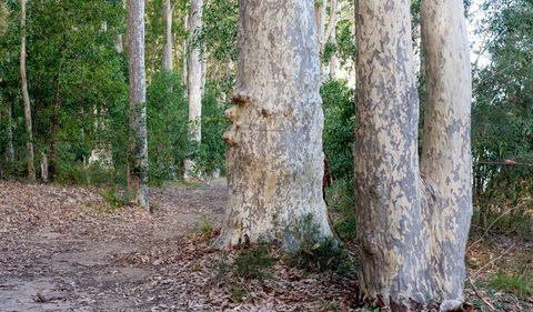 Delta Track - Restaurant Gold Coast 3