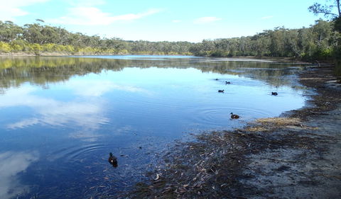 Conjola National Park - Restaurant Gold Coast 1