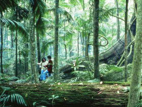 Binna Burra QLD Restaurant Gold Coast