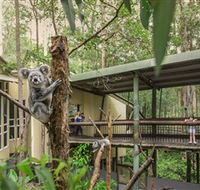 Daisy Hill Koala Centre - Restaurant Gold Coast