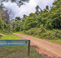 Antarctic Beech picnic area - Restaurant Gold Coast