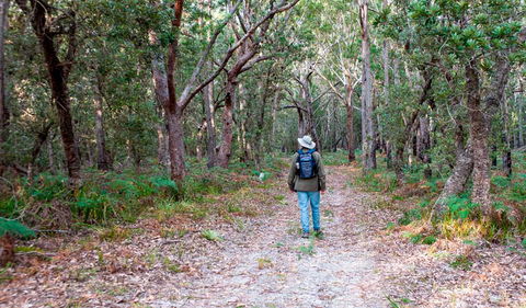 Narrawallee Inlet Walking Track - Restaurant Gold Coast 1