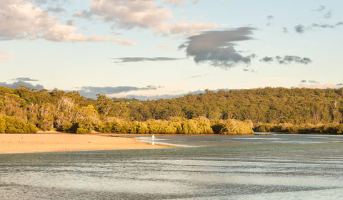 Narrawallee Inlet Walking Track - Restaurant Gold Coast 3