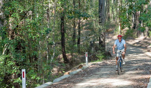 Monument Beach Ride From Bendalong - Restaurant Gold Coast 2