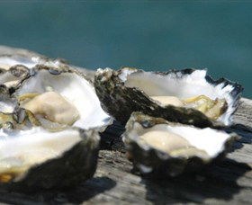 Jim Wilds Oyster Service - Restaurant Gold Coast 0