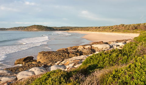Burrawang Track - Conjola Beach To Buckleys Point - Restaurant Gold Coast 0