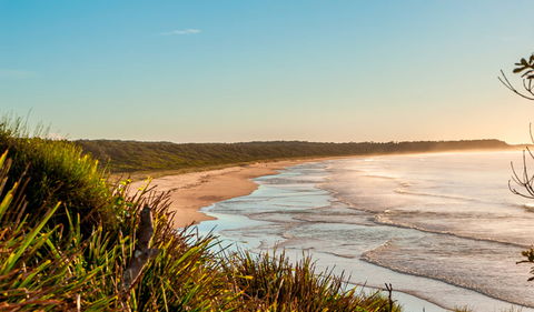 Burrawang Track - Conjola Beach To Buckleys Point - Restaurant Gold Coast 2