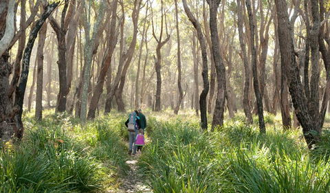 Nerindillah Lagoon Walking Track - Restaurant Gold Coast 3