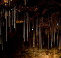 Tamborine Mountain Glow Worm Caves - Restaurant Gold Coast