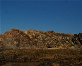 Batemans Bay Snorkelling Trail - Restaurant Gold Coast 2