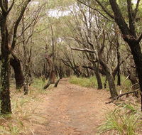 Pretty Beach to Snapper Point walking track - Restaurant Gold Coast