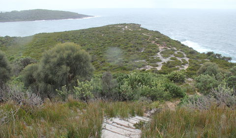 Pretty Beach To Snapper Point Walking Track - Restaurant Gold Coast 2