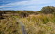 Murramarang Aboriginal Area - thumb 1