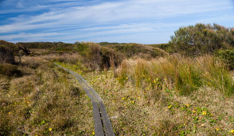 Murramarang Aboriginal Area - Restaurant Gold Coast 1
