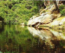 Numinbah Valley Adventure Trails - Restaurant Gold Coast 1