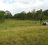 Numinbah Valley Adventure Trails - Restaurant Gold Coast