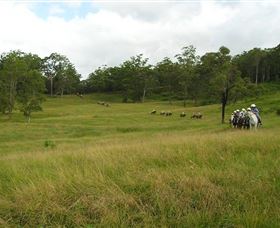 Numinbah Valley Adventure Trails - Restaurant Gold Coast 0