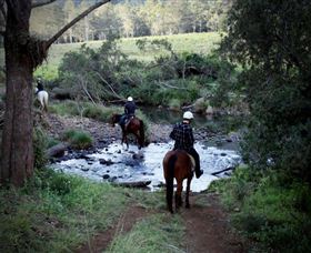 Numinbah Valley Adventure Trails - Restaurant Gold Coast 3