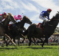 Moruya Racecourse - Restaurant Gold Coast