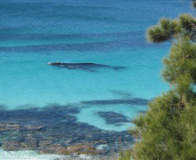 Jervis Bay Marine Park - Restaurant Gold Coast 0