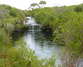 Booderee National Park: Green Patch And Telegraph Creek Walking Tracks - Restaurant Gold Coast 0