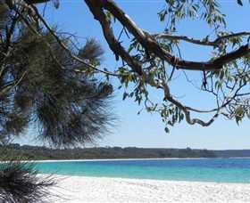 Booderee National Park: Green Patch And Telegraph Creek Walking Tracks - Restaurant Gold Coast 6