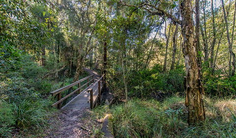 Dawson River Walking Track - Restaurant Gold Coast 1
