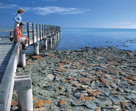 Hamelin Pool Stromatolites - Restaurant Gold Coast 3